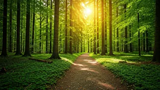 Walking Improves Your Health Secretly