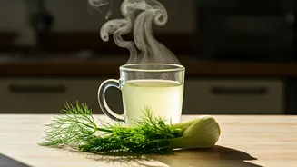 Nutritionists Recommend Warm Fennel Water For Afternoon Energy