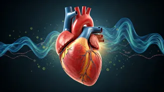 Unlock Better Health: The Power of a 30-Minute Walk Starting at 35