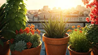 Heat-Proof Balcony Greens Are Having A Major Moment