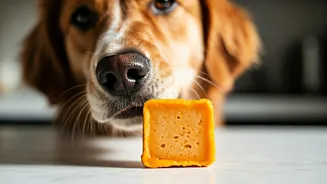 Keep Dogs Mentally Stimulated Using Frozen Pureed Pumpkin Treats