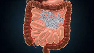 Gut Health Makes Old Heat Hacks Feel New