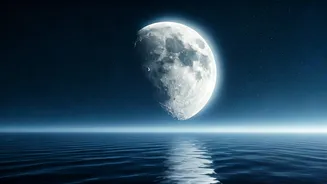 Unveiling Lunar Influence: Chandra Kundali Insights