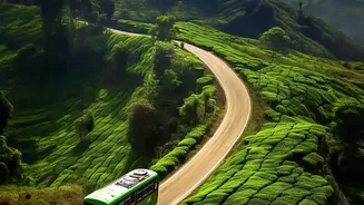 India's Monsoon Booking Surge Makes Bus Bookings Rising Through Monsoon Travel More Relevant