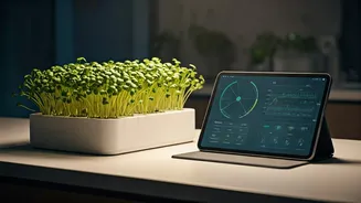 Home Gardening Gets Serious