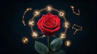 Aries Love Forecast 2026: Discover Your Best Zodiac Matches and Relationship Growth