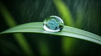 Zinc PCA Moisturisers Beat High Humidity Breakout Zones Easily
