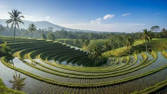 How Indian Solo Travellers Cut Expenses While Exploring Bali Scenic Spots
