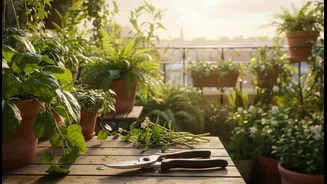 Pruning Makes Balcony Plants Breathe Better