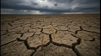 Food Inflation Needs A Climate Lens Now
