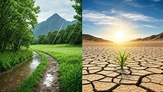 Vacation Decisions Now Depend On Rainfall