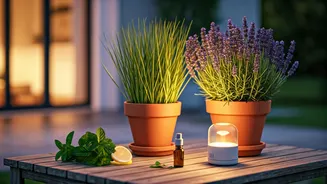 5 Ingenious Natural Strategies to Banish Mosquitoes from Your Home