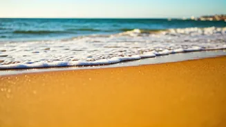 Explore Portugal: Top Destinations & Travel Tips