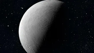 Pluto Is Not a Frozen Dead World, Study Suggests