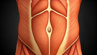 Belly Fat: Tips to a Stronger Core