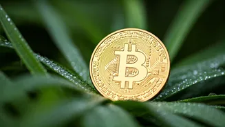 Daily Horoscope: Career & Money - November 13, 2025