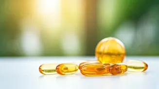 Vitamin D Boost: Top 10 Picks for India