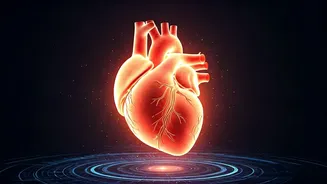 Explore the Human Body: Introducing the Open-Access Human Organ Atlas (HOA)