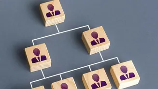 Automated Scheduling Hacks: Use AI Calendar Blocking To Organise Study Runs And Projects