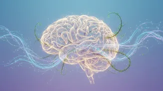 Your Brain May Benefit From Small Daily Changes