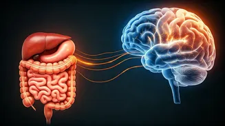 Unraveling the Gut-Brain Connection: How Your Tummy Troubles Might Be Affecting Your Mind