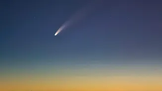 October meteor showers: Viewing guide