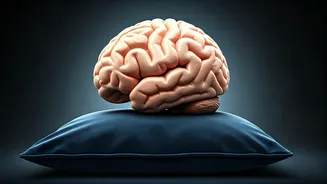 Rest For 2 Minutes And Boost Your Brainpower