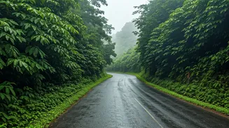 Saputara Makes Rainy Travel Feel More Festive