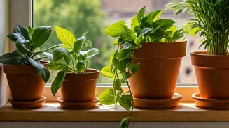 Plant Parents Have One Job This Week