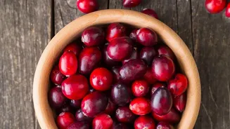 A Closer Look At Cranberry Growing Conditions In Indoor Cranberry Gardening