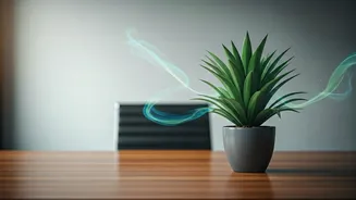 Combat Daily Corporate Workplace Stress Using Extended Deep Breathing Pranayama