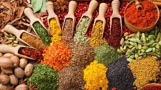 National Herbs and Spices Day 2026: Top legendary Indian spices that influenced world