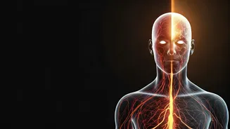 30 Days Off Coffee: Unpacking Your Body's Surprising Transformations