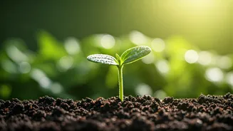 Earth Day Quiz: Test Your Eco-Knowledge on April 22nd!