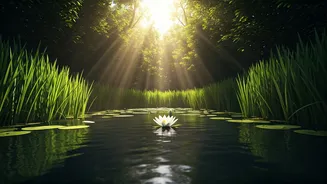 Unlocking Inner Peace: Insights from the Bhagavad Gita