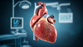 Heart Health: Protecting Your Cardiovascular System