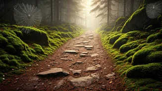 Ditch the Gym, Join a Misty Morning Running Club