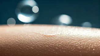 Unlock Radiant 'Glass Skin': 5 Essential Korean Skincare Secrets for Humid Climates