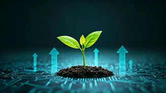 Indian Gen Z buys US tech stocks