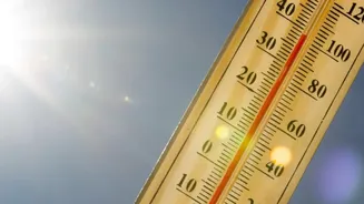 Heat stress threatens India's dairy sector