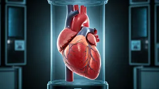 Keep Your Heart Healthy: Risks and Management
