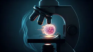 The Stark Sleep-Cancer Link: Unpacking Bryan Johnson's 72% Risk Revelation