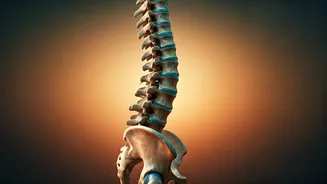 Fix Your Mobility With Longevity Fitness Over Heavy Intensity Gyms