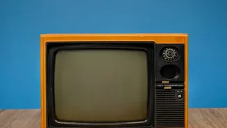 The Busy August OTT Calendar Puts Renewal Dates in the Viewing Conversation