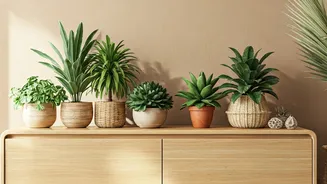 Indian Interiors Want More Green, Less Gloss