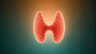 Unmasking Hypothyroidism in Women: Expert Insights for Prevention and Well-being