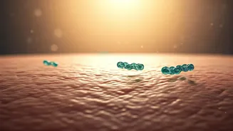 The Barrier-First Trend Starts With Ceramides