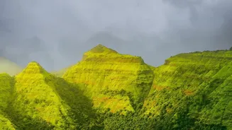Monsoon Retreats In Wayanad: Rainforest Stays And Scenic Rainy Landscapes
