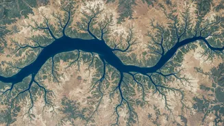 Why The AI Mapping Image Rollback Strengthens The Case For Verifying Satellite-Style Images