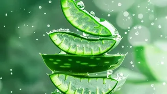 Moisture And Gentle Handling Matter More Than Trend-Chasing